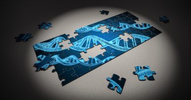 Viitorul experienței digitale prin multi-senzorialitate Viitorul experienței digitale prin multi-senzorialitate